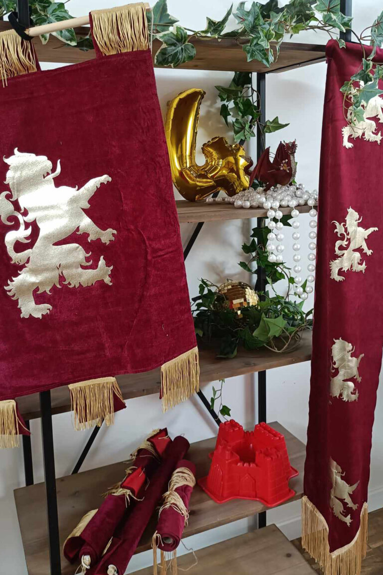 décoration chevalier anniversaire enfant vaucluse 84